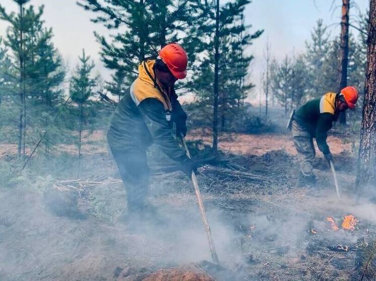 470 спасателей борются с лесными пожарами в Бурятии