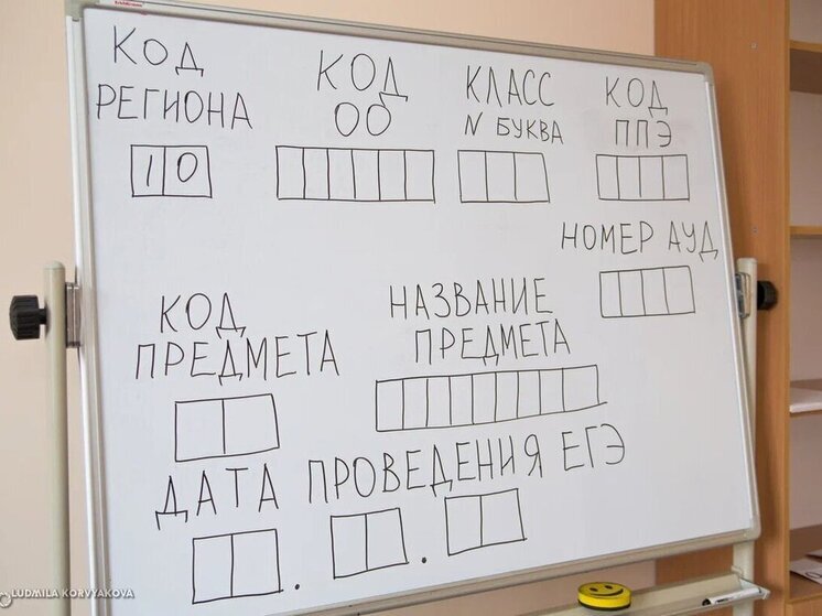 Выпускники 11-х классов сегодня сдают свой первый экзамен