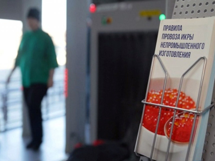 В аэропорту Анадыря потренировались досматривать багаж пассажиров с икрой