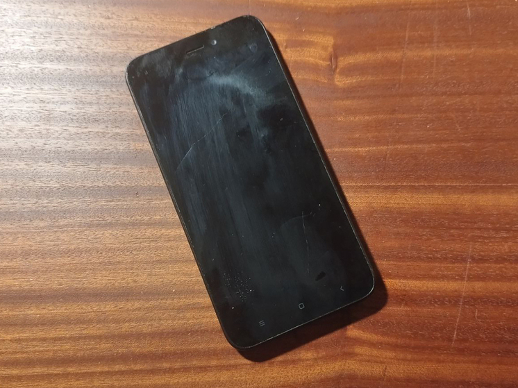 В Хакасии школьница обогатила лжемедика на 77 тысяч