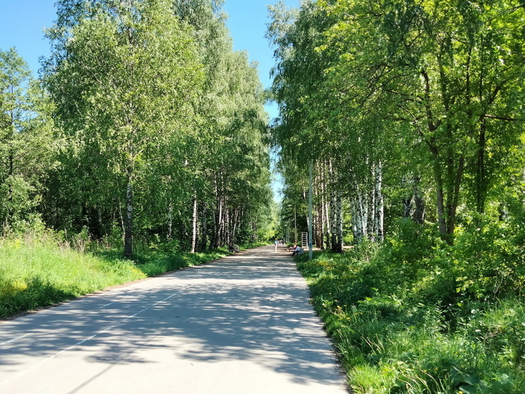 В выходные в Марий Эл ожидается чуть больше 20 градусов и дожди