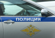 Необычных персонажей обнаружили наблюдательные читатели в базе данных граждан, объявленных правоохранительными органами России в международный розыск