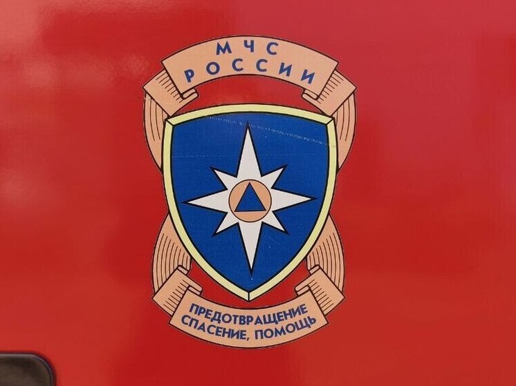 Во Всероссийском слете добровольцев приняли участие спасатели из Хабаровска