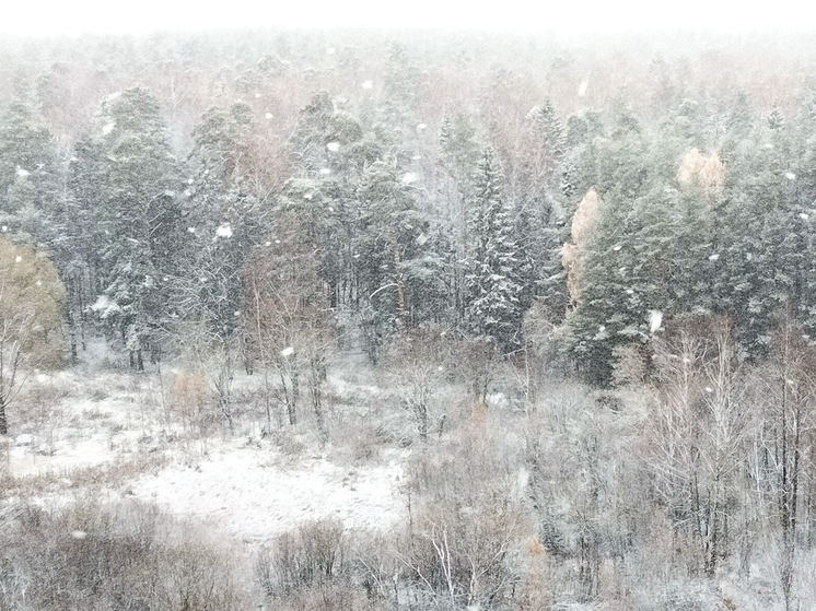 «В середине июня придет аномалия». Синоптики сказали, к чему надо готовиться
