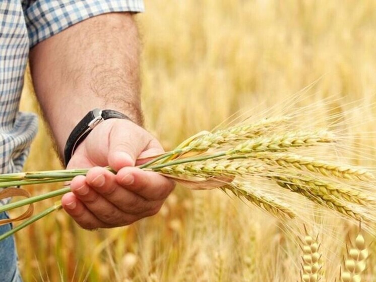 Подкарантинную продукцию стали реже вывозить из Орловской области