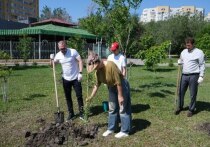 В Астрахани проживает много неравнодушных жителей, которые активно участвуют в различных городских проектах по благоустройству и улучшению окружающей среды