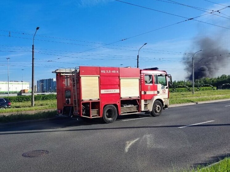 Горящие дома и гаражи тушили пожарные Ленобласти