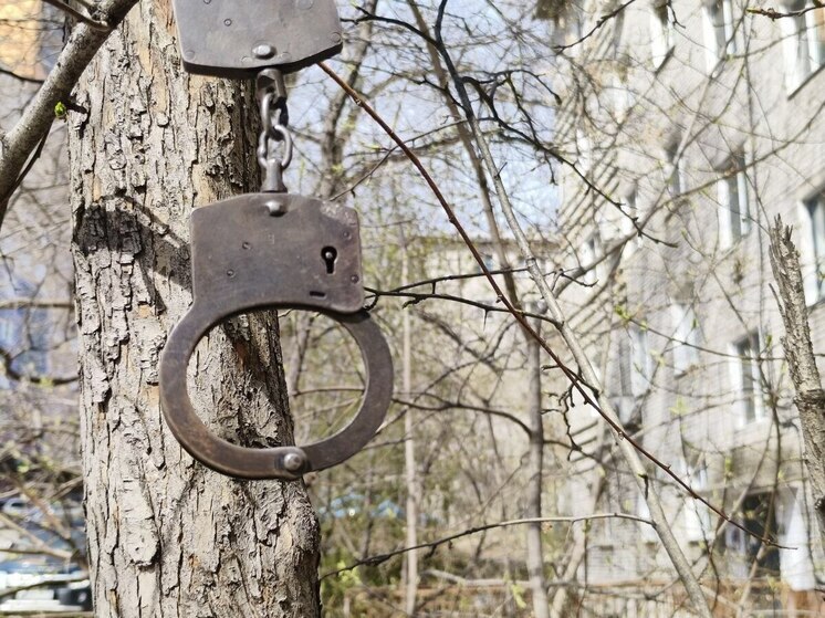 Убила своего брата в порыве гнева и отправилась в колонию жительница ЕАО