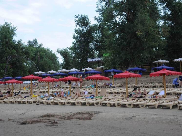 Волгоградские пляжи проверят на паразитов перед купальным сезоном