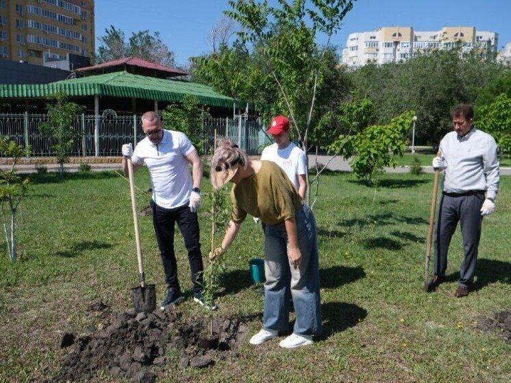 В Астрахани высадили деревья и кустарники на Аллее Предпринимателей