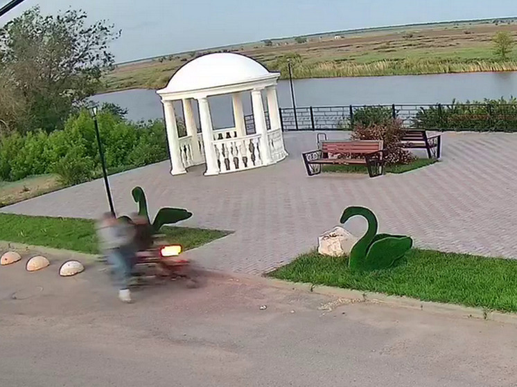 В Питерке мотоциклист затормозил о декоративного лебедя