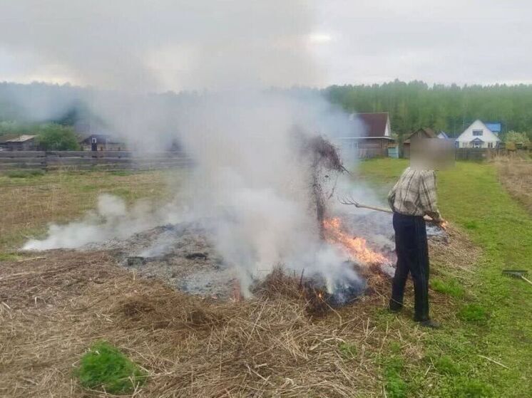 Жителям Подмосковья напомнили об ответственности за поджог травы