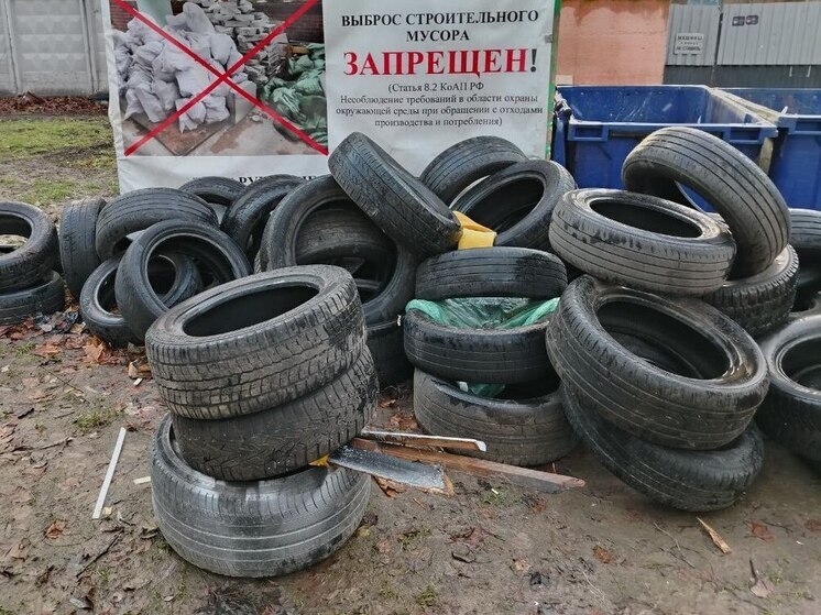Активисты Гатчинского округа очистили территорию, собрав 16 тонн шин