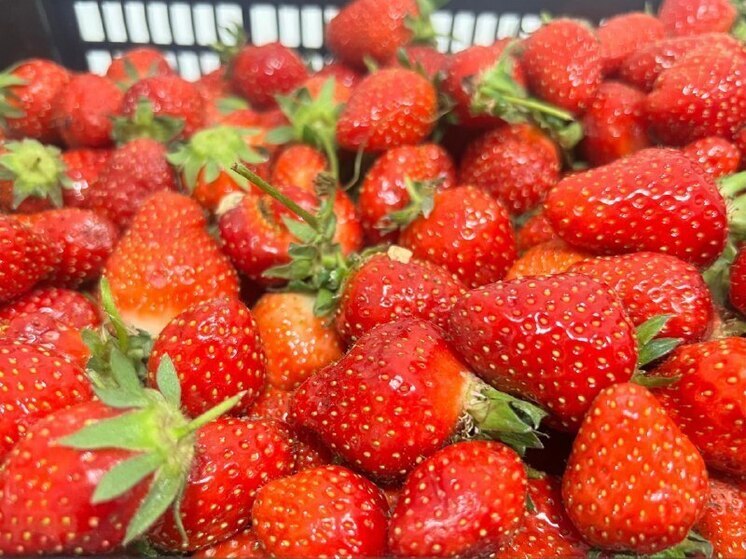 Ставропольцам рассказали, как выбрать клубнику