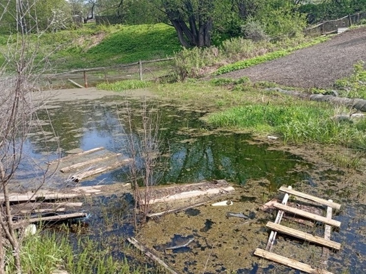 У жителя Кинешмы уже три года затапливает огород