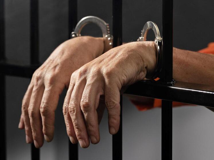 Развращавший детей брянец на 15 лет отправлен в колонию
