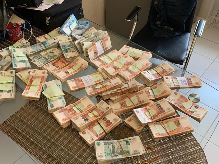 В Алтайском крае члены ОПГ предстанут перед судом за отмывание более 85 млн рублей