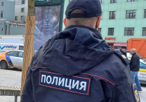 Расширить арсенал спецсредств, стоящих на вооружении полиции, планирует Министерство внутренних дел Российской Федерации