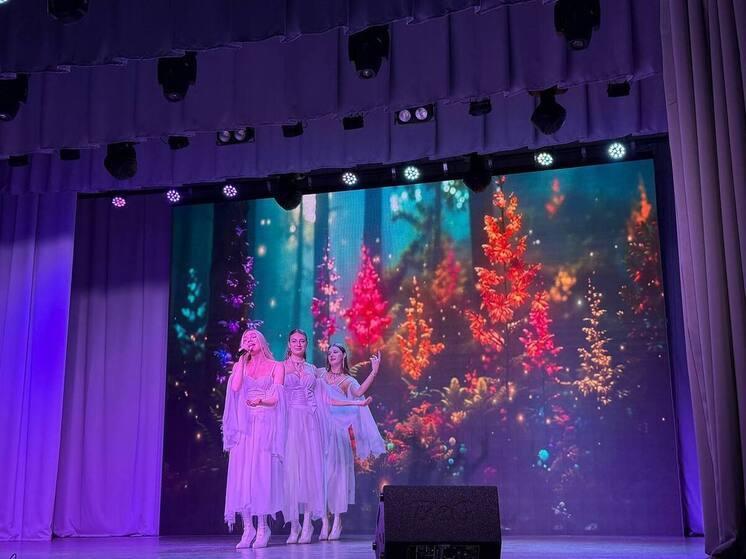 В Лунинском районе прошли «Творческие встречи»
