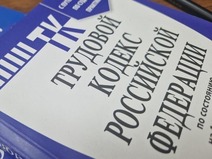 В Нижнесерогозском районе выявлен ИП, нарушавший трудовое законодательство