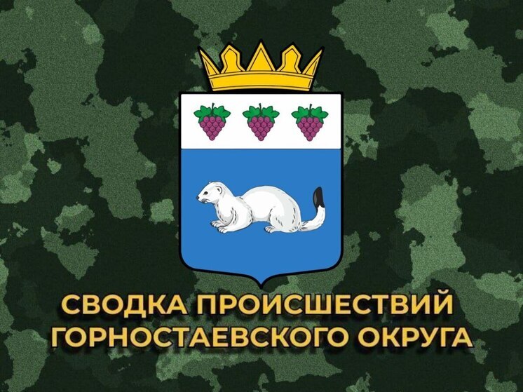 Горностаевский округ был обстрелян за сутки 15 раз