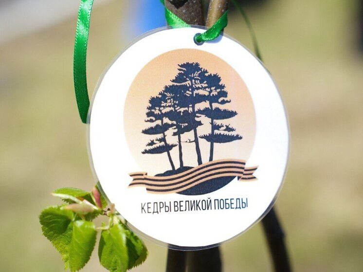  В Иркутском суворовском училище высадили деревья в память о погибших военных корреспондентах