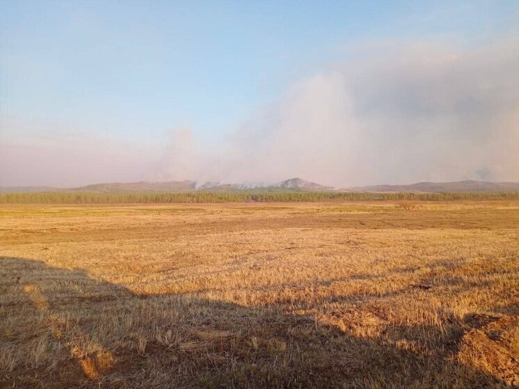 Авиапожарных из Омской области отправили на помощь в тушении лесов Забайкалья