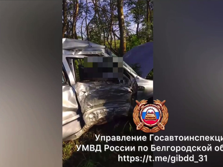 В Белгородском районе пожилой водитель врезался в забор и погиб