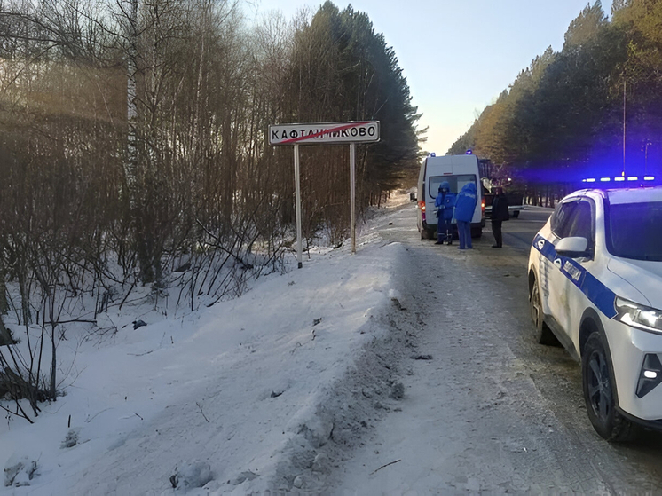 Томич предстанет перед судом за смертельный наезд на пешехода