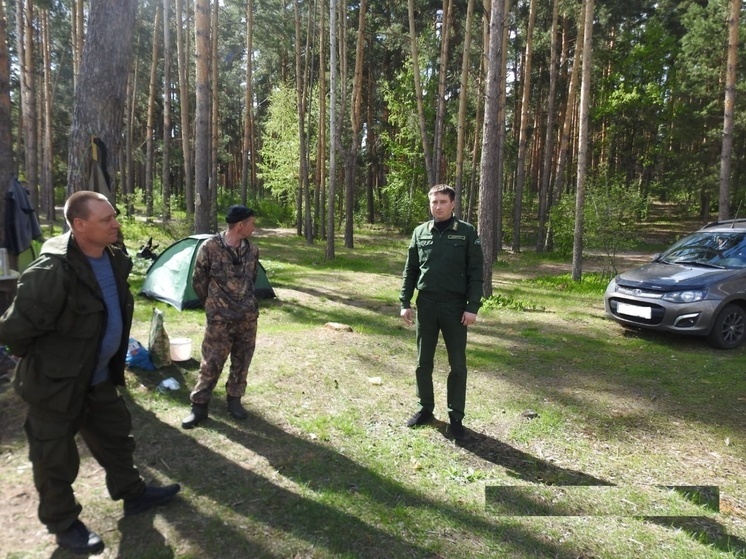 В Пензенской области выявлено 124 нарушения лесного законодательства с начала 2025 года