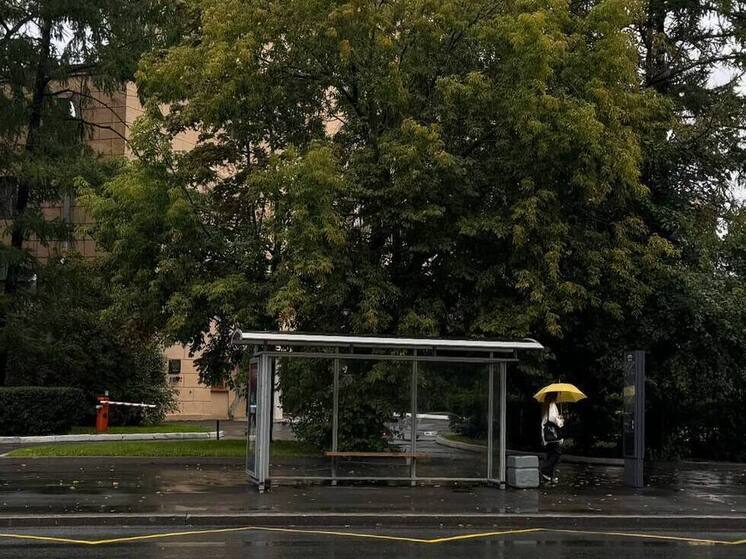 Дождь, грозу и до +24 градусов обещают в Ленобласти 24 мая
