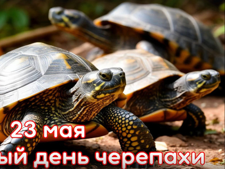 В Тульском экзотариуме празднуют День черепах 23 мая