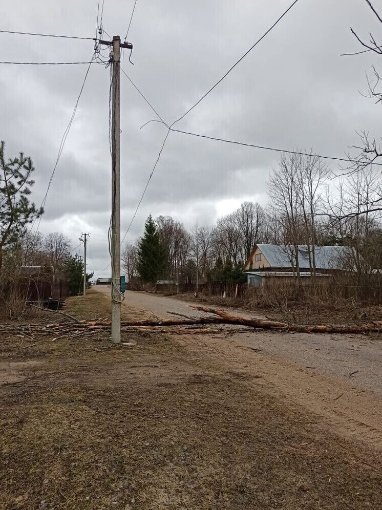 Жители Демидовского муниципального округа поблагодарили местных энергетиков за оперативную и высококвалифицированную работу