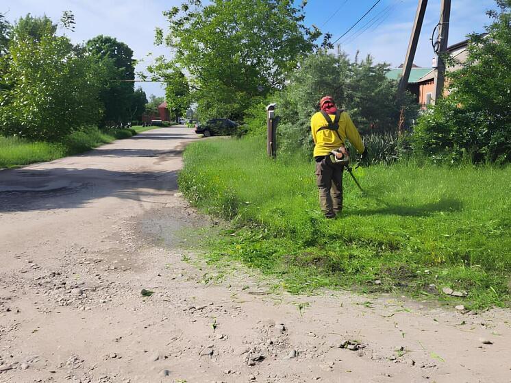 В Краснодаре выкосили более 3 тысяч гектаров сорняков