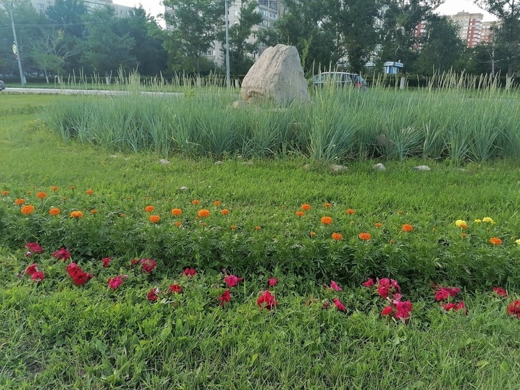В Оренбургской области зарегистрировано более 800 случаев укусов клещей