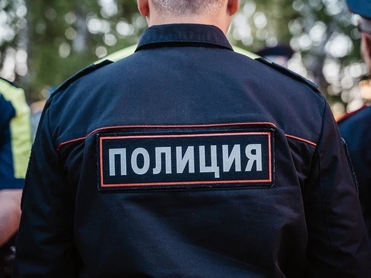 В Тверской области 87-летняя бабушка выхватила палку у грабительницы, а затем выгнала ее прочь