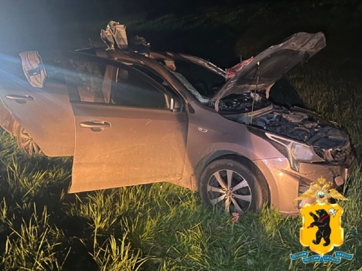 После ДТП с лосем под Ярославлем мужчина и 6-летняя девочка попали в больницу
