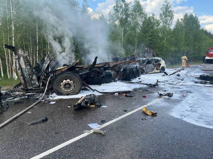 Два человека погибли в ДТП с грузовиками и легковушкой под Рязанью