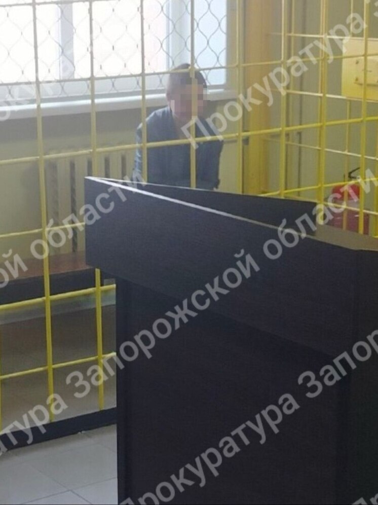 Обвиняемую в убийстве семилетней девочки в Бердянске отправили в СИЗО на 2 месяца