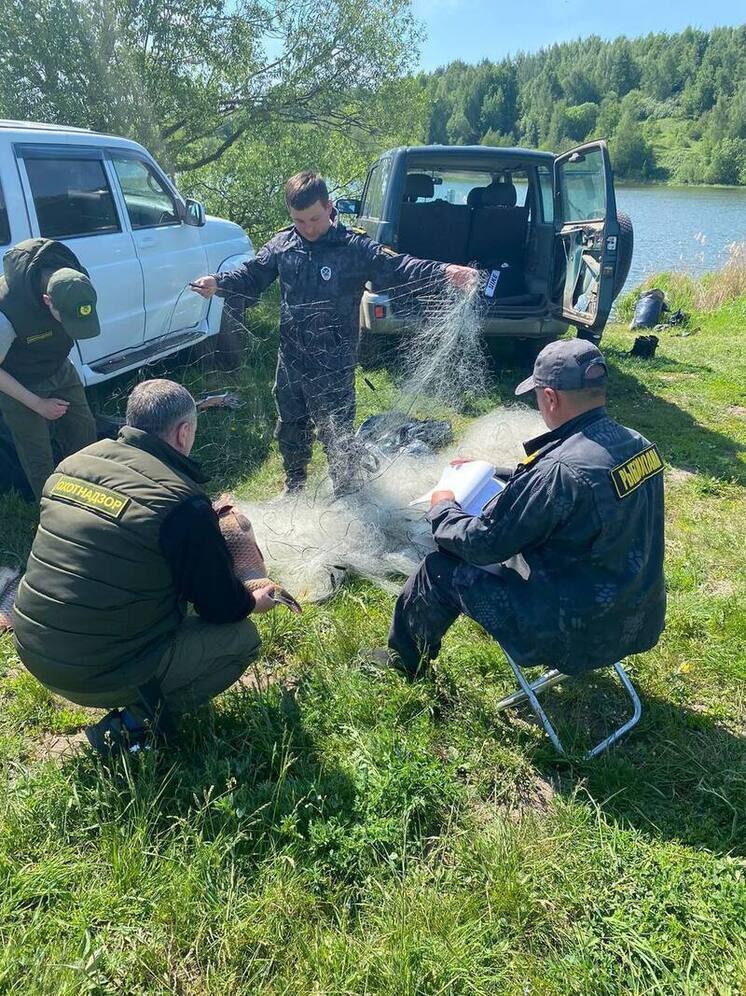 Полкилометра браконьерских сетей нашли под Тулой в ходе рейда