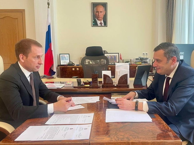 Хинштейн обсудил поддержку Курской области с главой Минприроды РФ Козловым