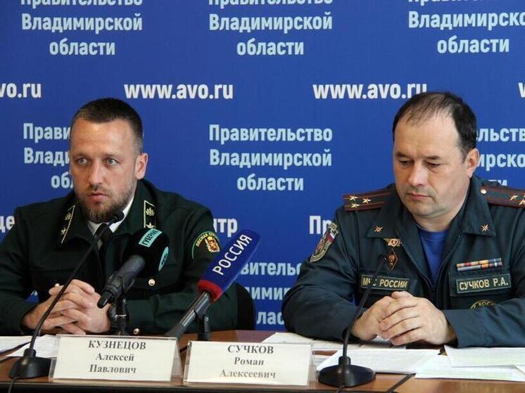 За неполную весну число палов травы во Владимирской области уже больше, чем за весь 2024 год