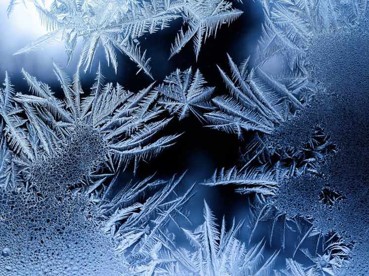 Аномальное похолодание: в Новосибирске ожидаются заморозки до -2 °C в июне