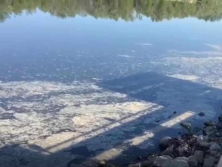 В Сызрани река-приток Волги покрылась странной жирной пеной