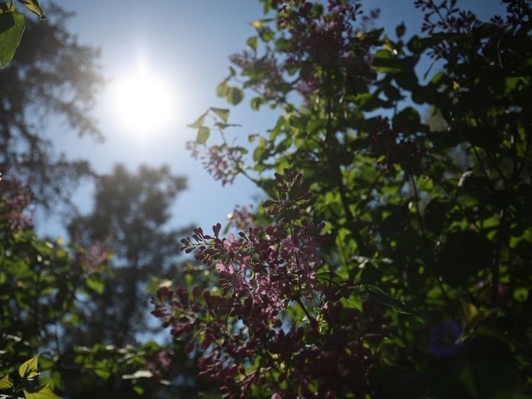 Волгоградскую область в выходные накроет жара до +29 градусов