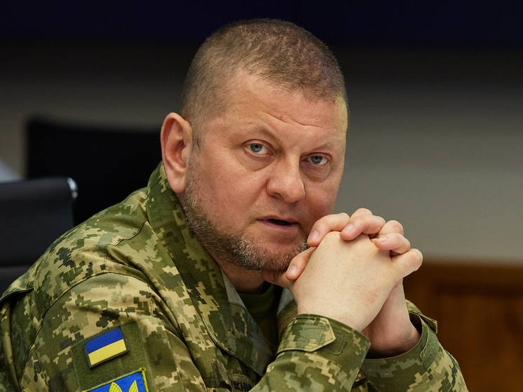 Ковитиди: Залужный совершил политический прорыв заявлением о границах Украины