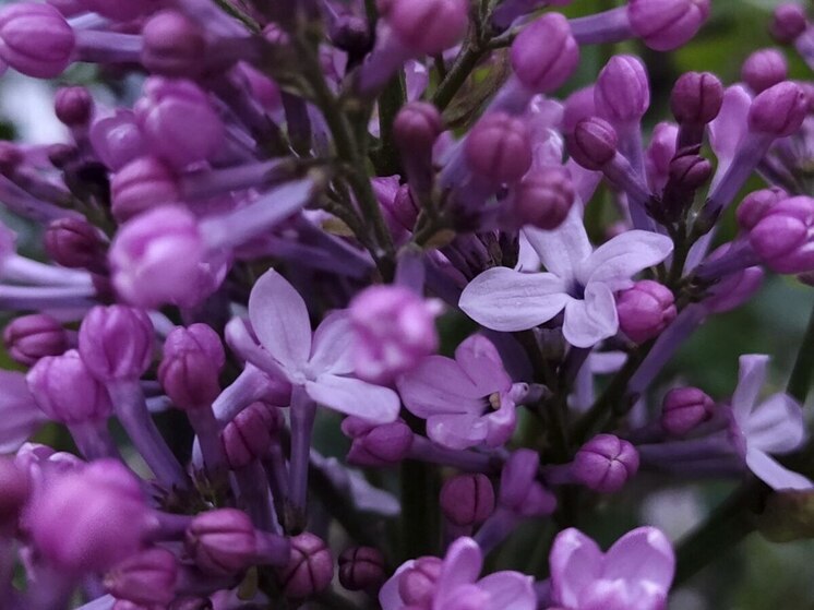 Во Владивостоке днем ожидается потепление до +16 градусов