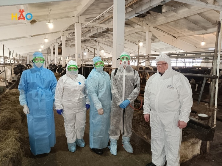 Учения по ликвидации лейкоза крупного рогатого скота прошли в НАО