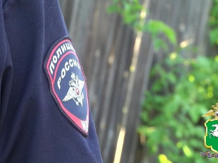 Подросток в Томской области помог раскрыть убийство, сделав фото преступления