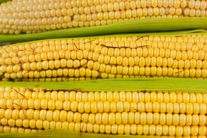 фото: ru.freepik.com